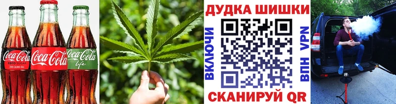 Купить закладки  Шарья  Печенье с ТГК марихуана 