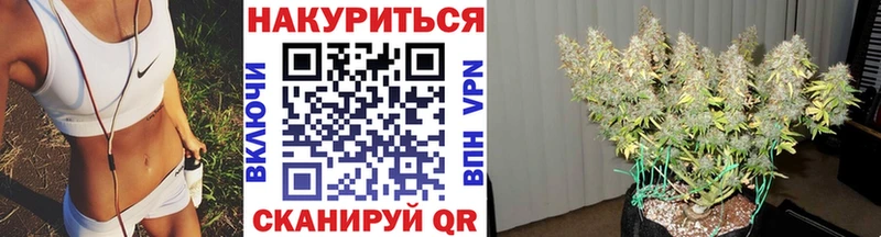 Бошки Шишки марихуана Купить где Шарья